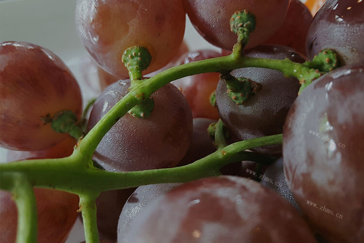 葡萄是我们都常吃的水果，巨峰葡萄也是，可巨峰葡萄有什么营养呢