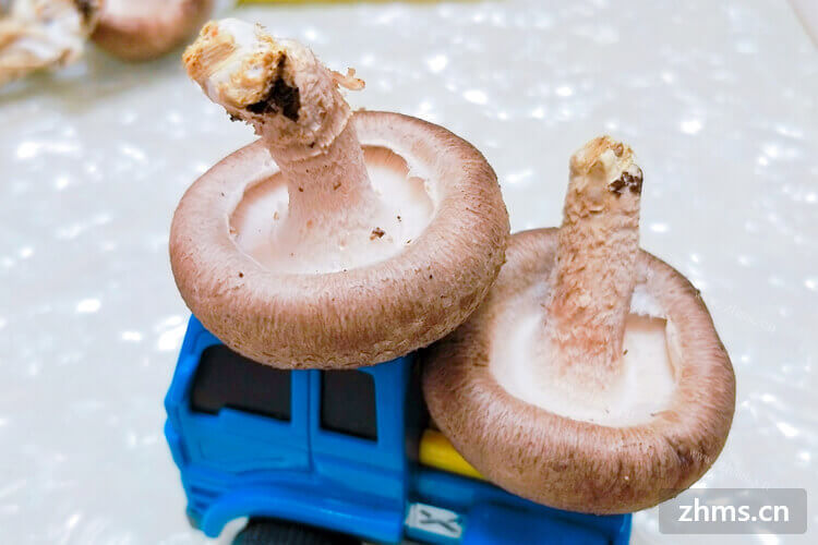 家里面的香菇买多了，想查一下香菇的做法大全有哪些呢？