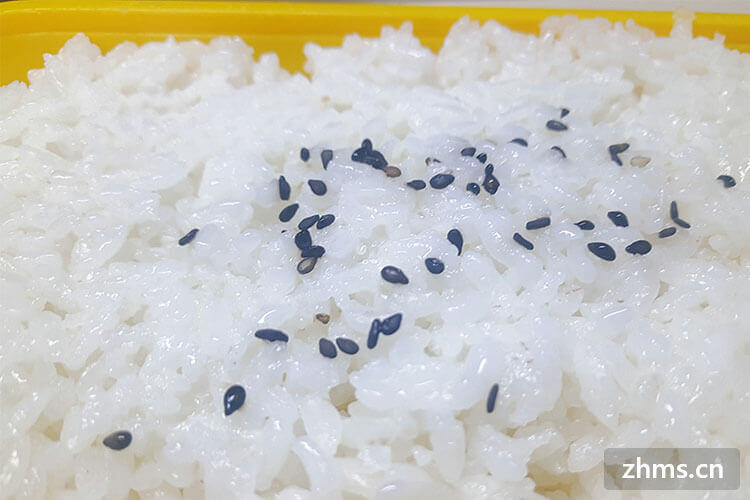 米炒熟吃能减肥吗