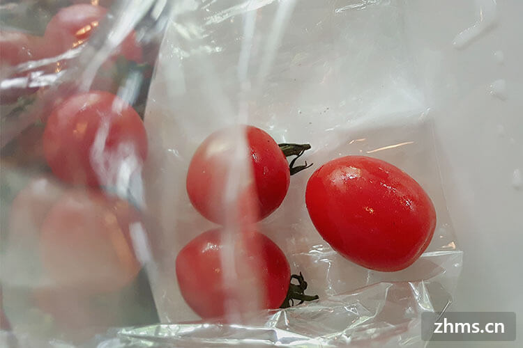 西红柿的做法