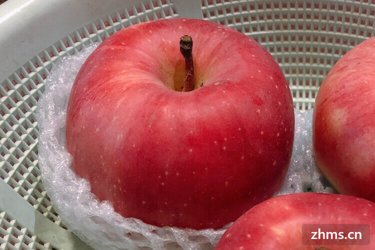 苹果多少钱一斤
