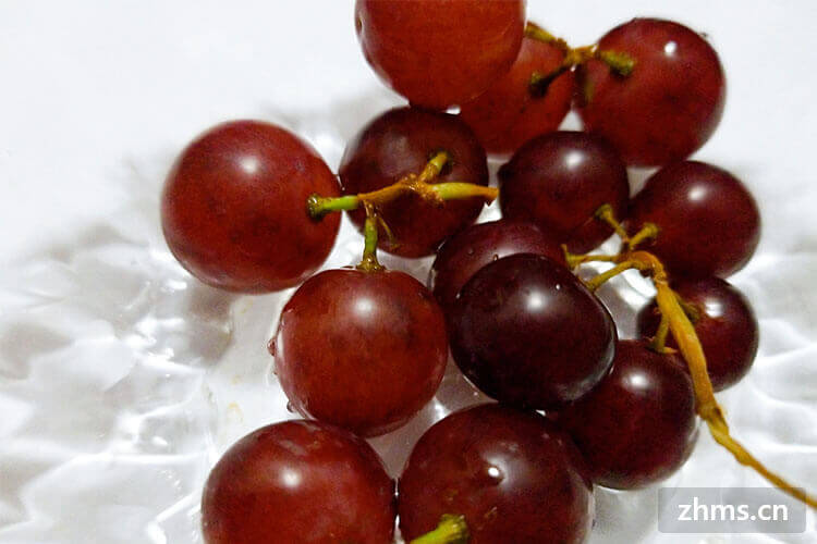 哪种葡萄品种最甜？小编来为你揭晓答案