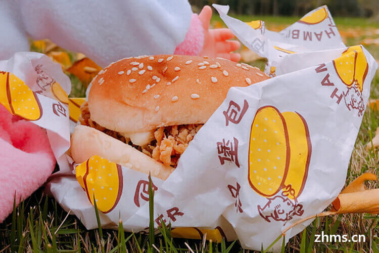 最近比较关注快餐类，大家觉得临沂汉堡怎么样呢？