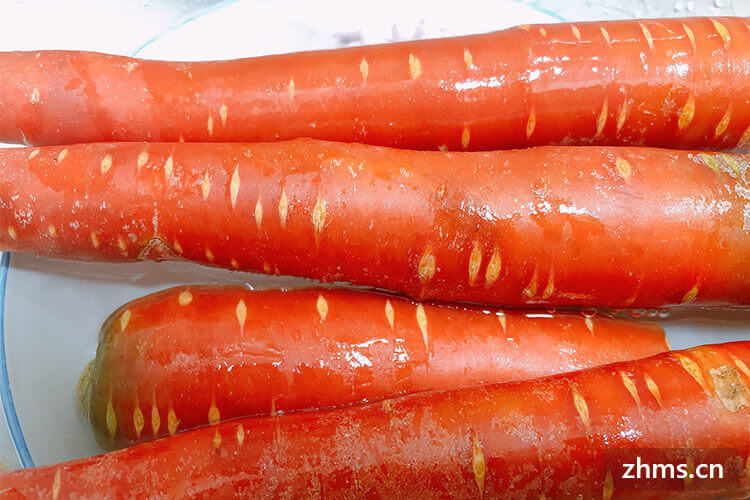 胡萝卜煮多久能熟