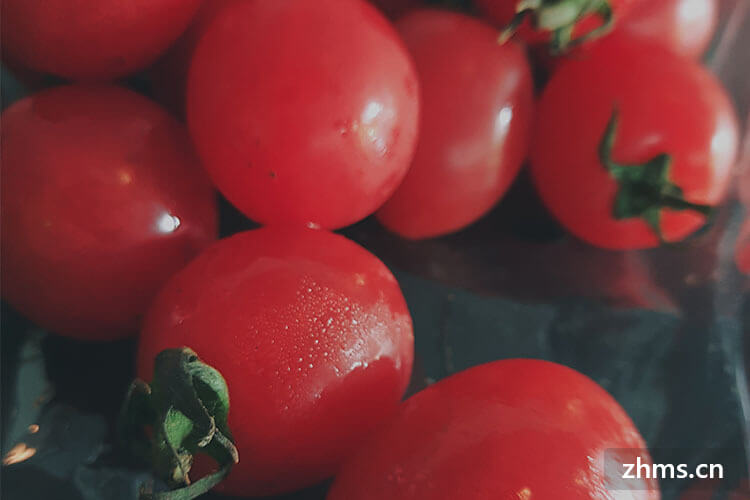 青西红柿可以吃吗