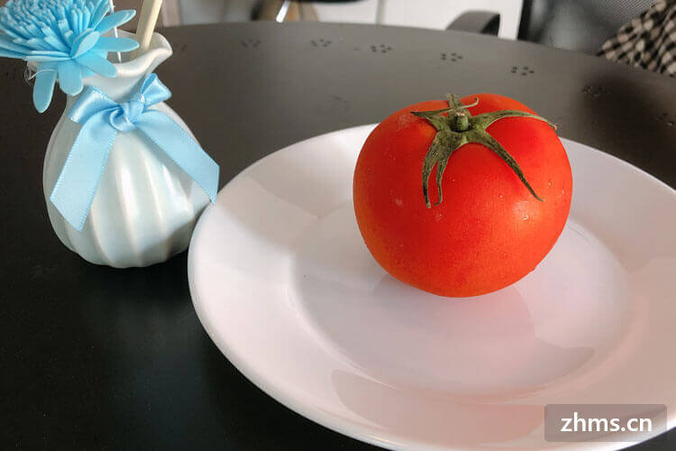 减肥可以吃番茄吗