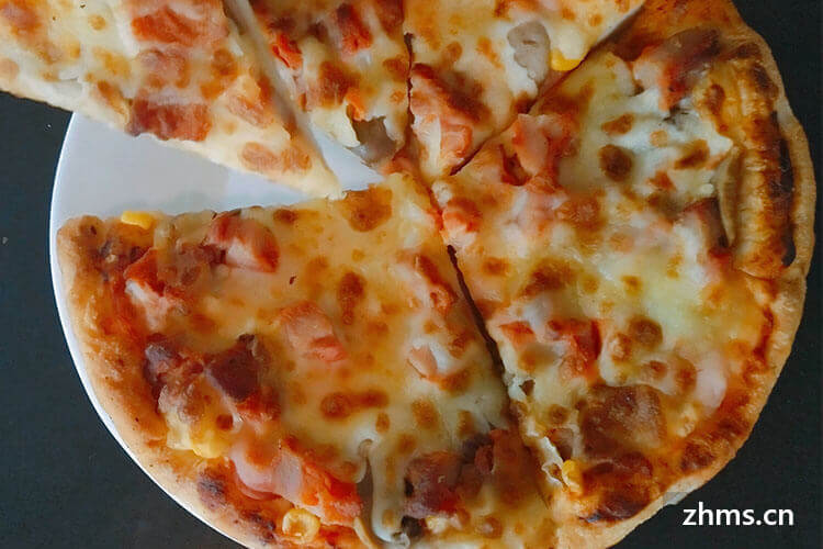 意式披萨9.9加盟多少钱？