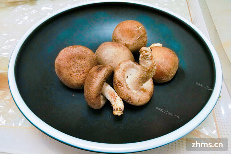 用香菇炒青菜特别的好吃，香菇切片好难切怎么办