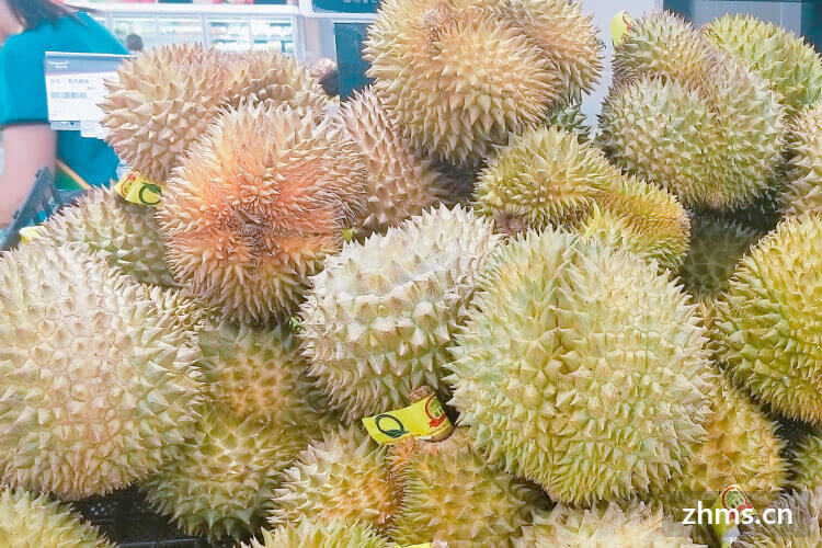 准备去泰国买点榴莲吃，泰国榴莲多少钱一斤？