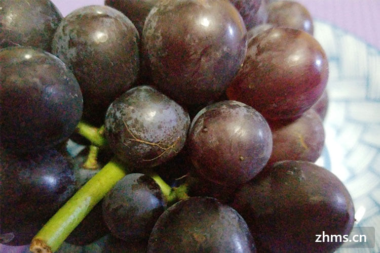  夏黑葡萄有哪些特点，你都了解吗