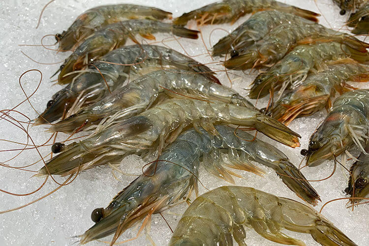 很多人都想吃海鲜，想问一下冷冻鳌虾能吃刺身的吗？