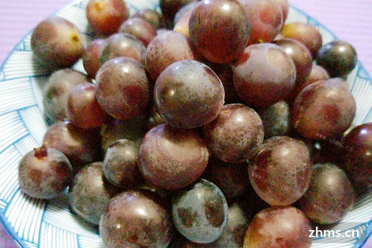 请问野葡萄的营养价值有哪些呢？听说野葡萄挺好的。