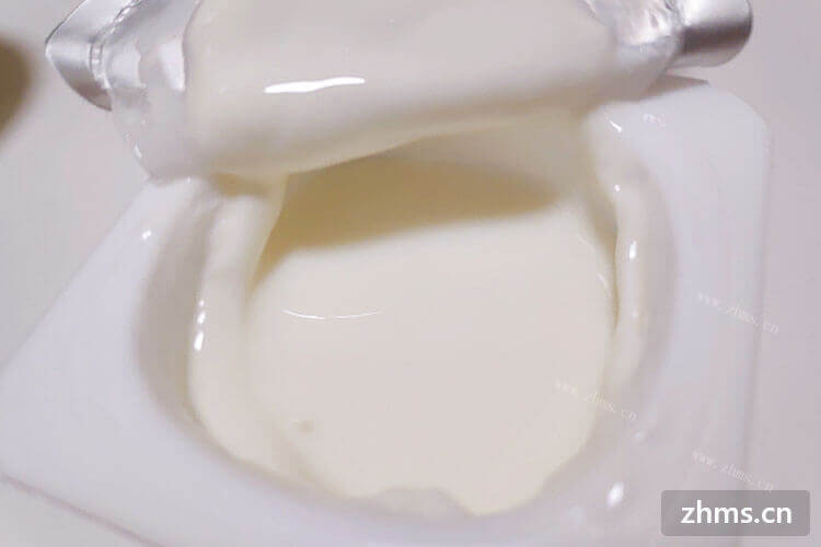 云南炒酸奶加盟费多少，未来发展前景如何？