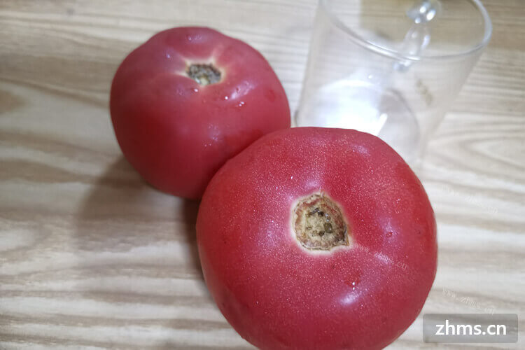 苦瓜西红柿可以在一起吃吗？我买了一些回家。