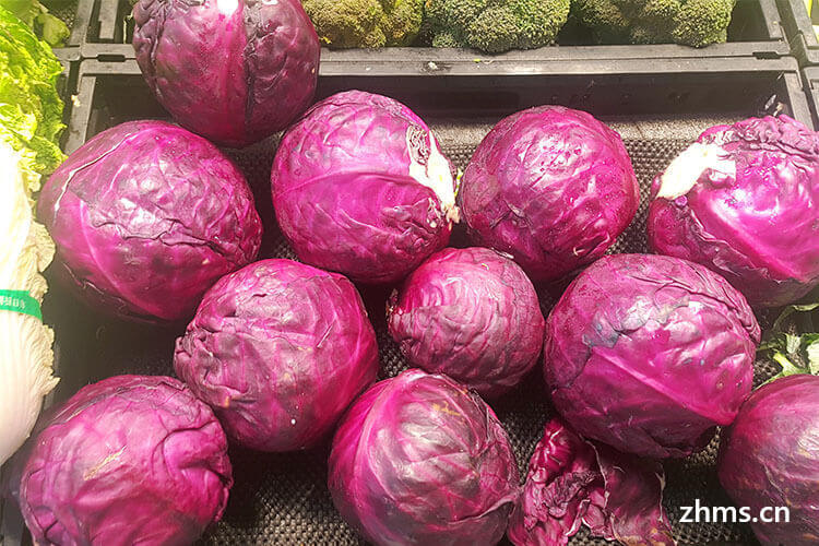 紫色卷心菜怎么做好吃