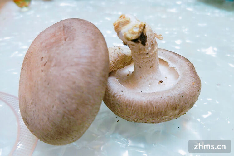 香菇煮多久，你知道香菇的搭配禁忌吗？