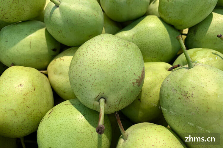 梨是特别好吃的一种水果，惊蛰为什么人们讲究吃梨呢？