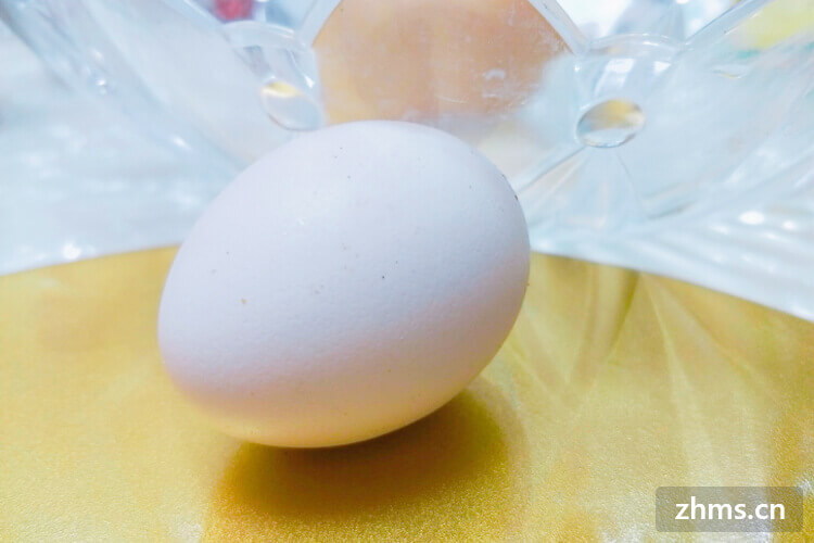 水煮鸡蛋减肥法