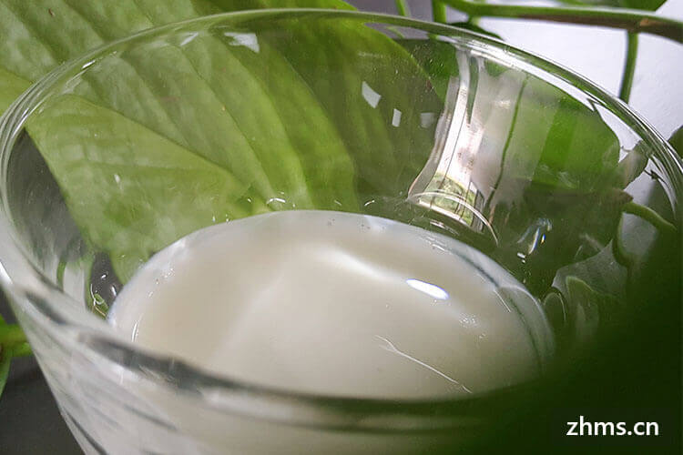 自制红枣味酸奶怎么做