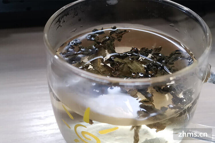 绿茶冲泡温度