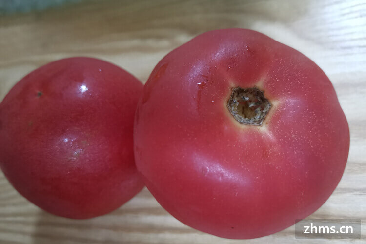 番茄是西红柿吗，你了解过这两种叫法吗