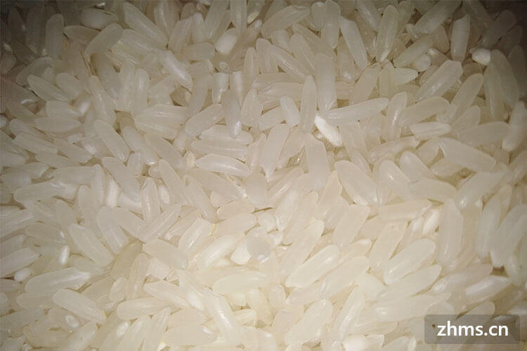 谷物大米