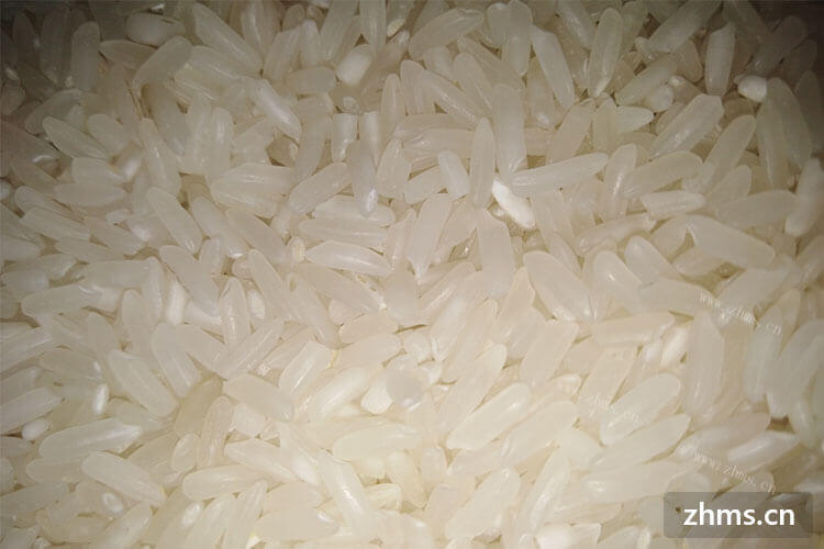 大米淀粉含量高吗？淀粉容易发胖么？