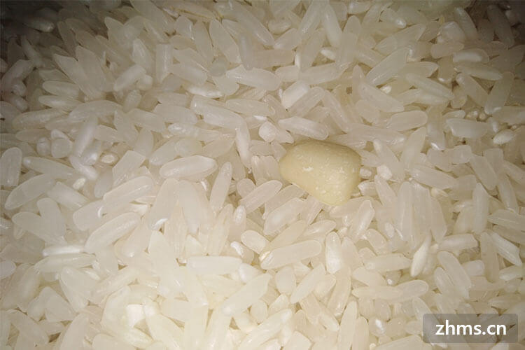 大米 营养成分有哪些