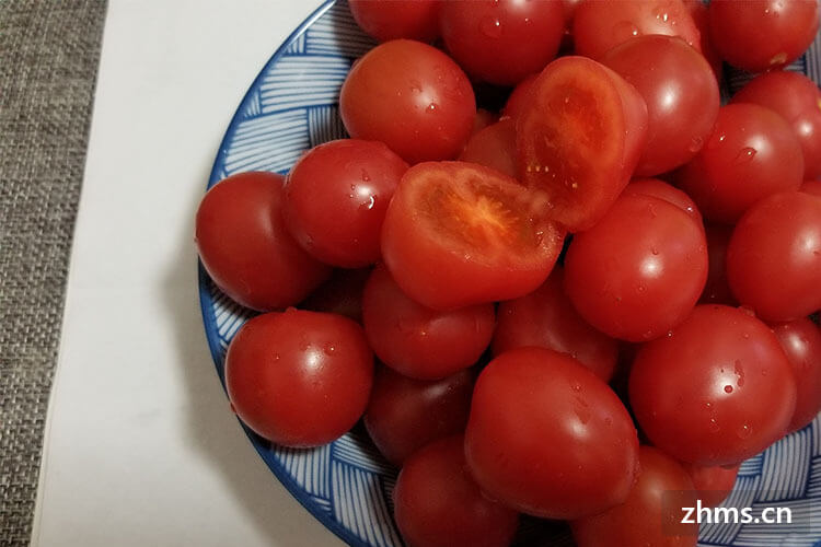 吃番茄的好处