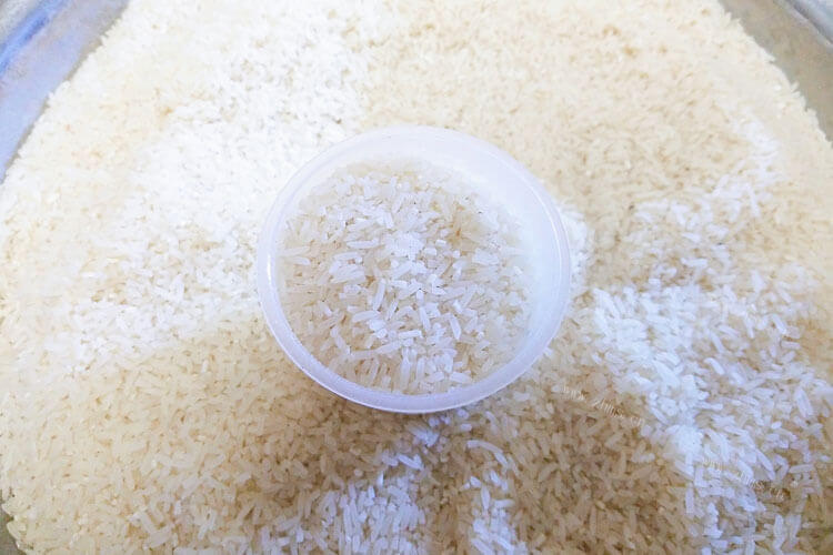籼米粳米糯米哪个更营养呢？籼米粳米糯米是常见的谷类食物，但它们却大有不同。