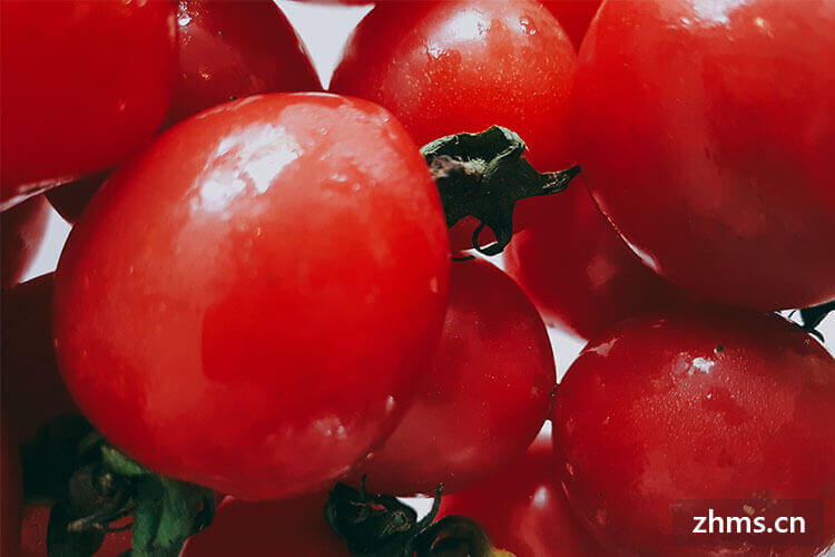 小蕃茄炒水蕨菜，番茄的营养价值有哪些？