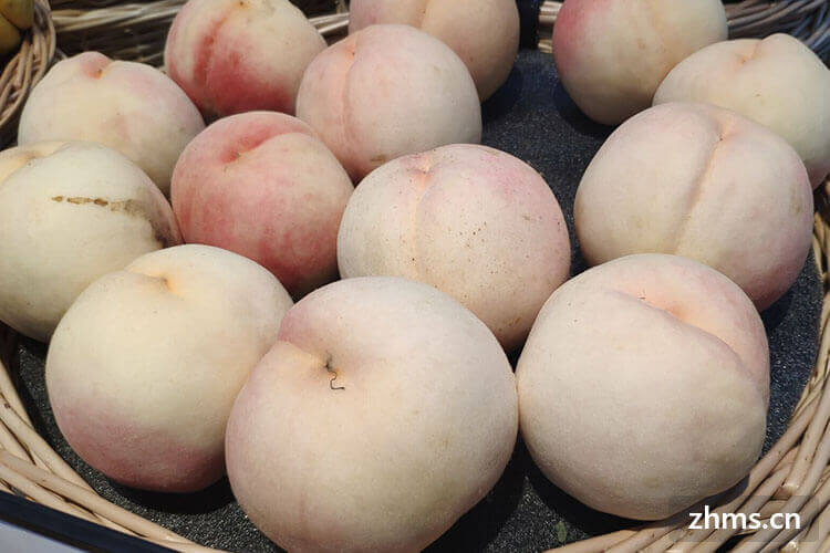 脆桃有几个品种