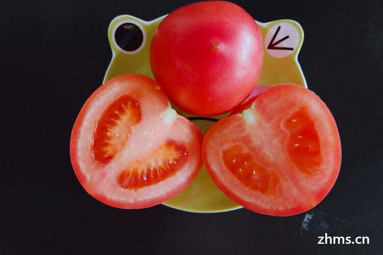 小番茄能减肥吗
