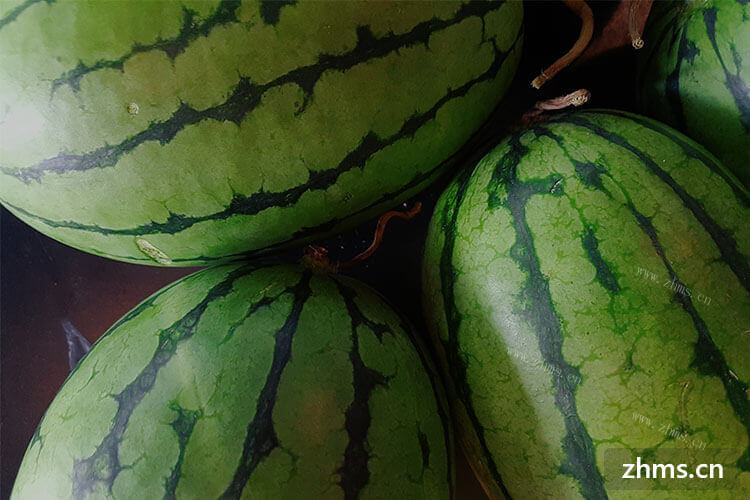 经常去水果市场挑西瓜，不知道买西瓜怎么才能挑到好西瓜呢