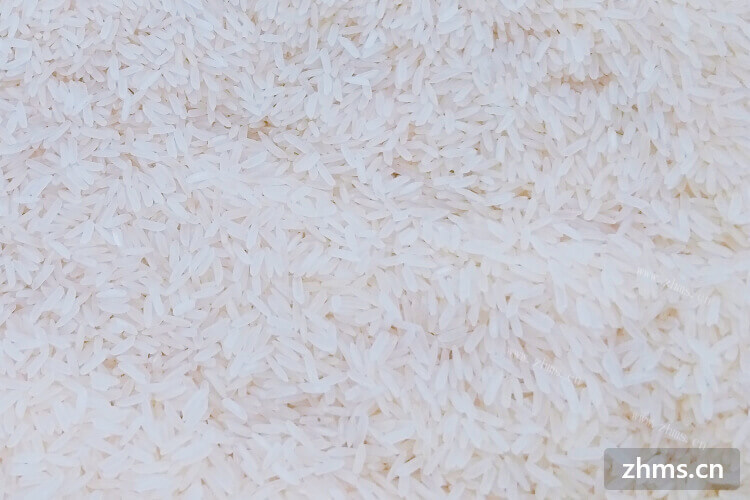 我很喜欢吃捞饭，请问适合捞饭的大米品种是什么？