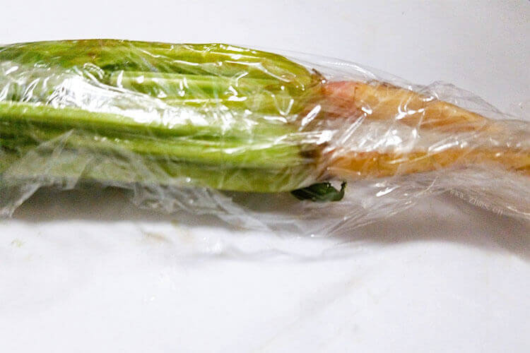 那日本大叶菠菜可以越冬吗