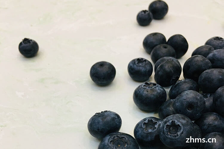 蓝莓婴儿可以吃吗