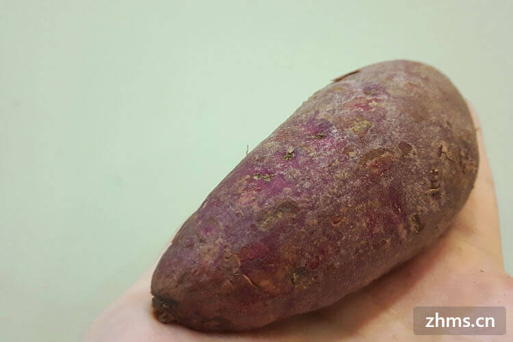 紫薯煮多久