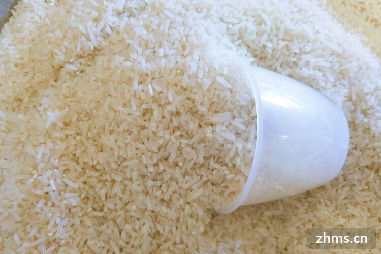 大米怎么保存不生虫？夏天一到，买的大米就很容易长虫