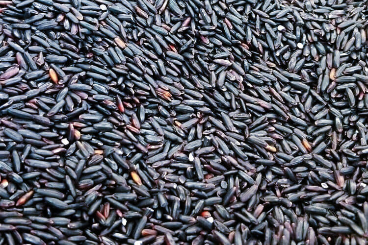 不同的米粥又是不同的作用，黑米跟黑糯米和紫米有啥区别呢？