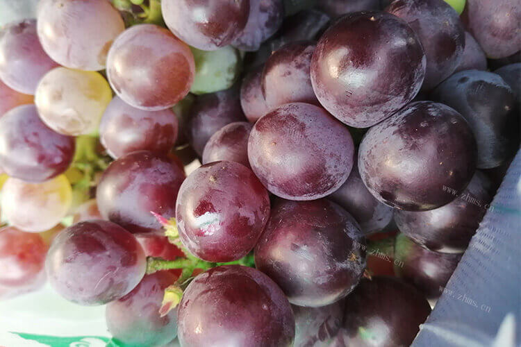 想买一些葡萄来吃，红提子葡萄贵吗？