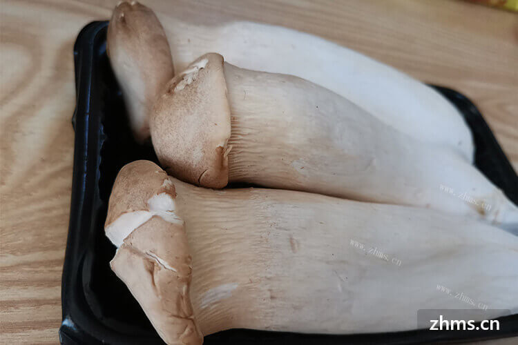 手撕杏鲍菇的做法有人知道怎么做的吗？