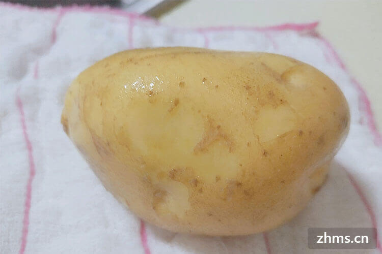 土豆粉条怎么做好吃