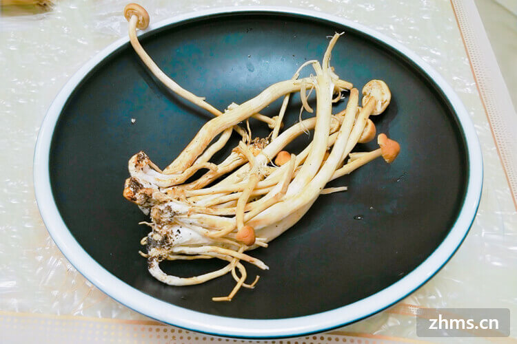龙骨茶树菇，高级养颜汤~