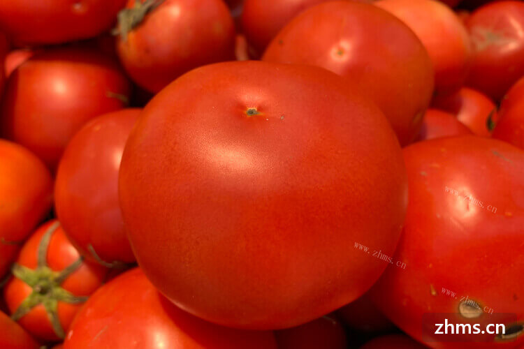 家里有西红柿和土豆，请问西红柿和土豆能一起吃吗？