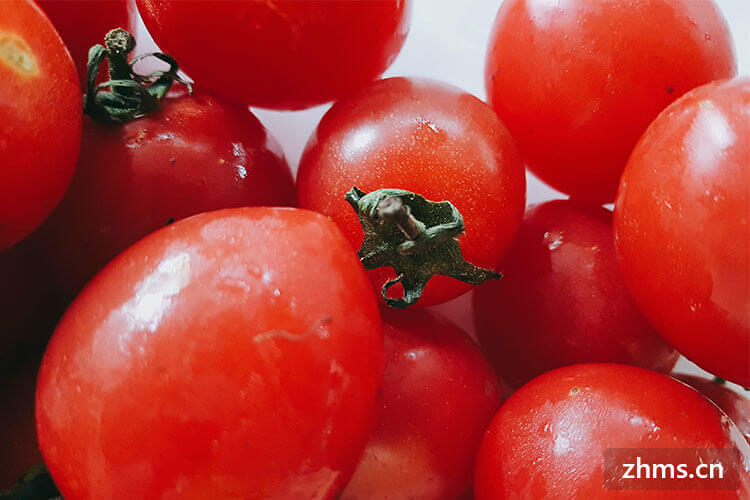 晚饭只吃番茄能减肥吗