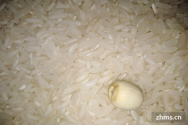 大米应该怎么保存？一袋抽真空的大米能保存多久？