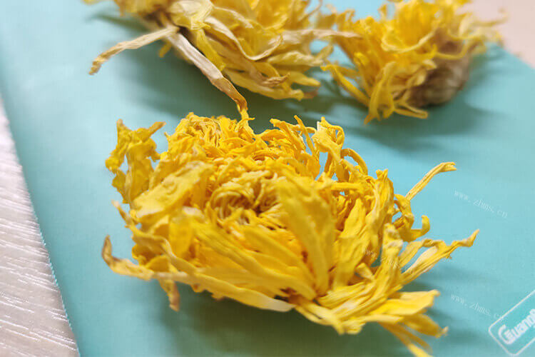 洋甘菊茶与菊花茶的区别是什么，有什么区别吗？