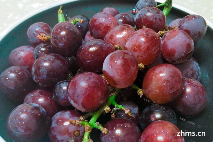夏黑葡萄与巨峰葡萄有什么区别呢？哪一个比较好吃呢？
