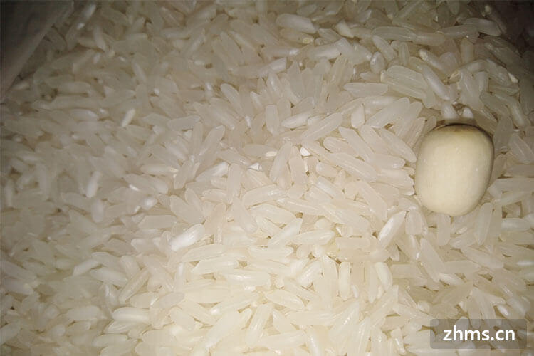 玻璃瓶可以存放大米吗？大米储存不生虫的办法有哪些？